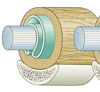 Sehne Mesotendineum Stratum-Synoviale