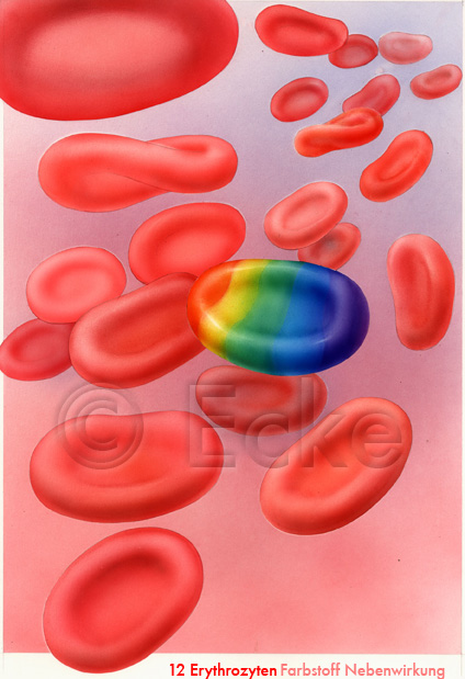 Erythrozyten Farbstoff