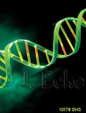DNS DNA