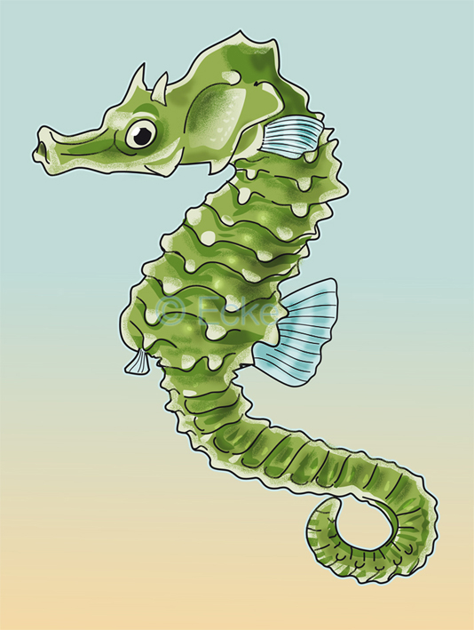 Seepferdchen kurzschnaeuzig