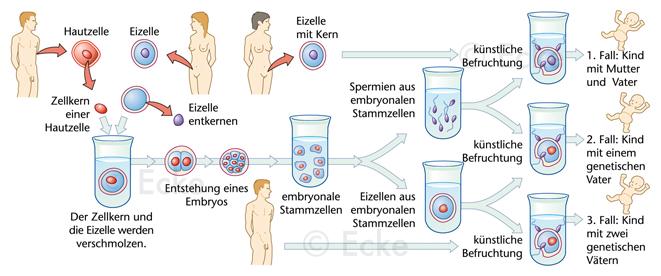 3 Eltern Kind