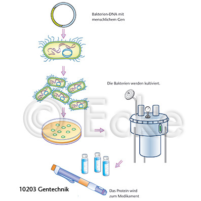 Gentechnik