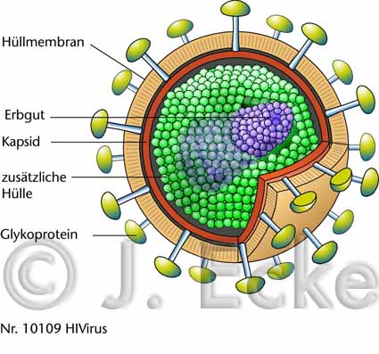 HIV