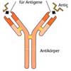 Illustrationen Immunologie Medizinische Wissenschaftliche 