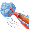 Targeting Tumor Endothelzellen Medizin Grafik