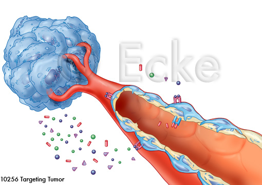 Targeting Tumor Endothelzellen Medizin Grafik