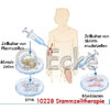 Stammzelltherapie 7