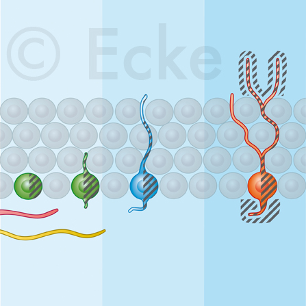 stemcell dopamin serotonin synuclein