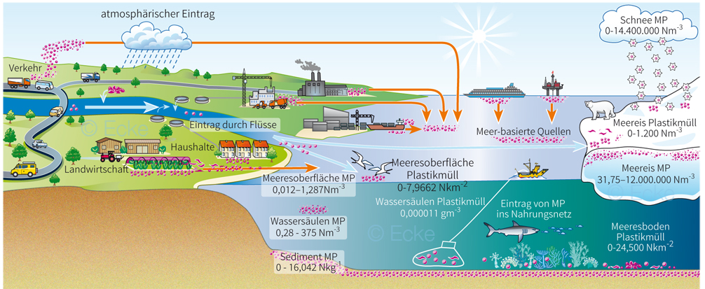 Kreislauf Mikroplastik