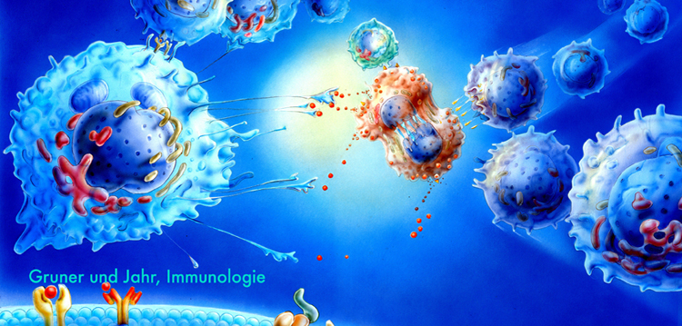 Immunologie